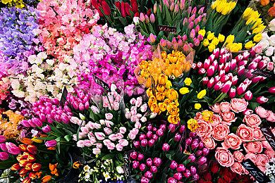 《单车快递公司》街头涂鸦+自行车快递的独特冒险